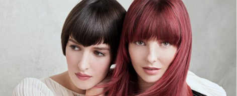 Haarshampoo Color-Shampoo von Alcina